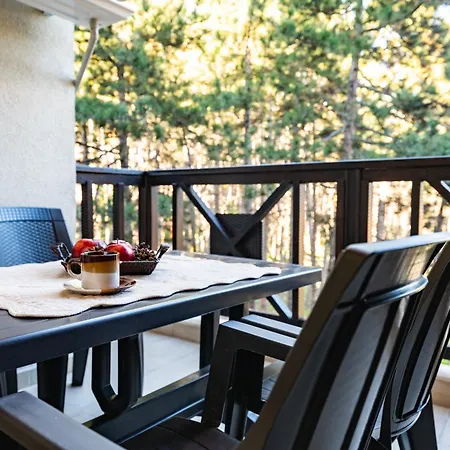 боров рай 아파트 벨린그래드