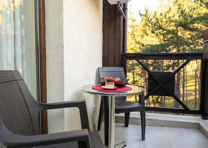 боров рай Velingrado