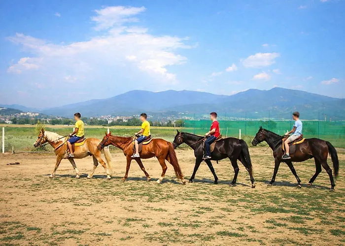 боров рай Apartamento *